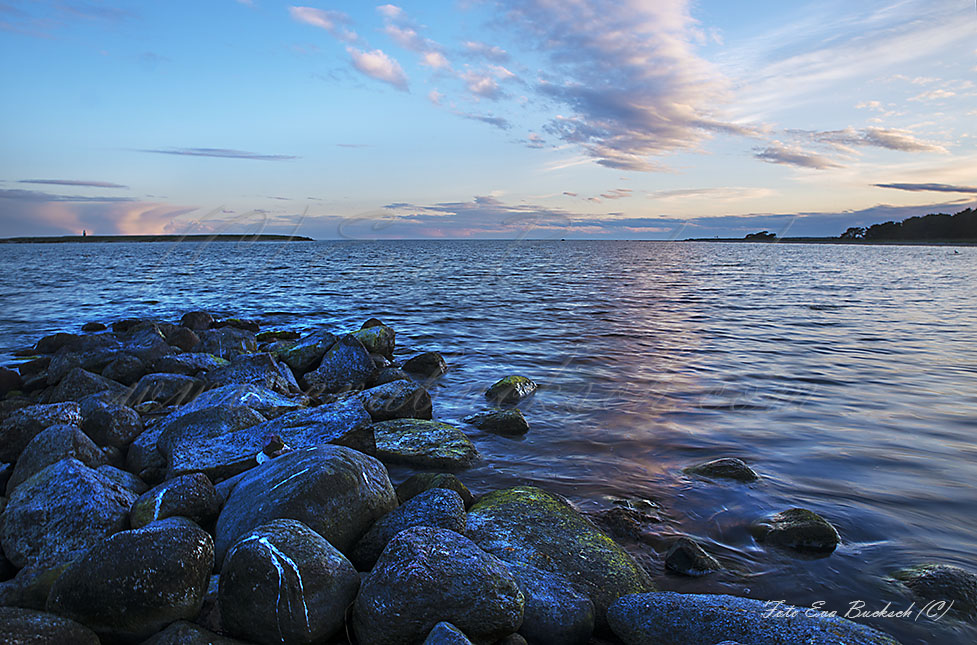 Foto av Eva Bucksc
